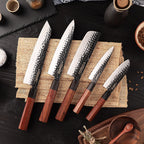 Hageshi AUS10 Japanese Knife Set