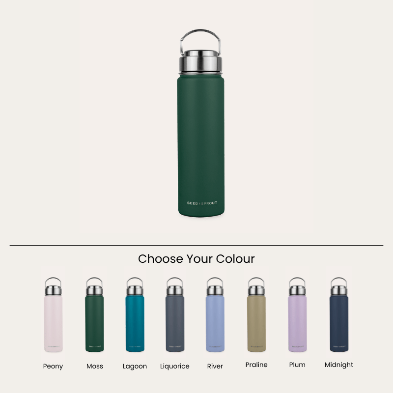 Insulated Drink Bottle | 650ml