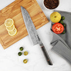 Katsuryoku 9" Chef Knife