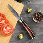 Japanese Master Chef Knife Set