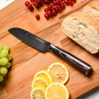 Japanese Master Chef Knife Set