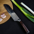 Japanese Master Chef Knife Set