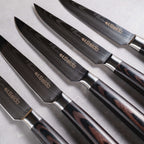 Straight-Edge Steak Knife Set