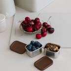 Stainless Steel Snack Bundle