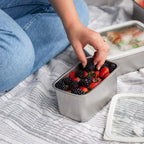 Rectangle Stainless Steel and Glass Containers | 2pk