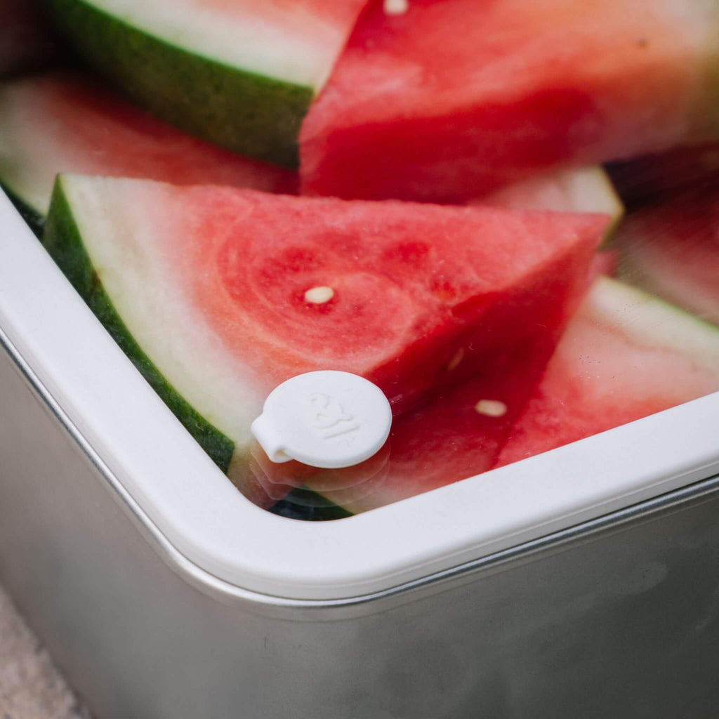 Rectangle Stainless Steel and Glass Containers | 2pk